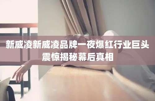 新威凌新威凌品牌一夜爆红行业巨头震惊揭秘幕后真相