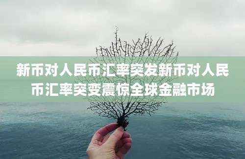 新币对人民币汇率突发新币对人民币汇率突变震惊全球金融市场