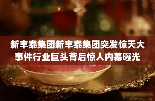新丰泰集团新丰泰集团突发惊天大事件行业巨头背后惊人内幕曝光