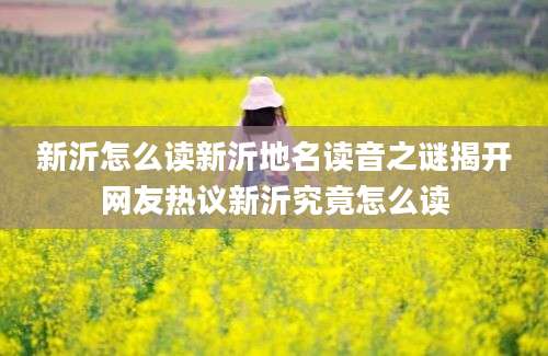 新沂怎么读新沂地名读音之谜揭开网友热议新沂究竟怎么读