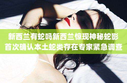 新西兰有蛇吗新西兰惊现神秘蛇影首次确认本土蛇类存在专家紧急调查