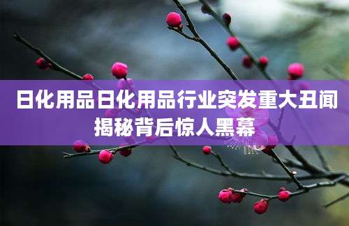 日化用品日化用品行业突发重大丑闻揭秘背后惊人黑幕