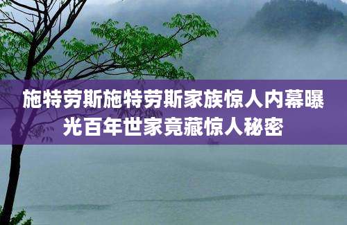 施特劳斯施特劳斯家族惊人内幕曝光百年世家竟藏惊人秘密