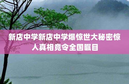新店中学新店中学爆惊世大秘密惊人真相竟令全国瞩目