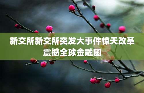 新交所新交所突发大事件惊天改革震撼全球金融圈
