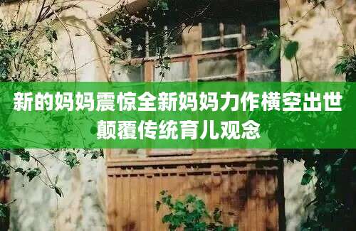 新的妈妈震惊全新妈妈力作横空出世颠覆传统育儿观念