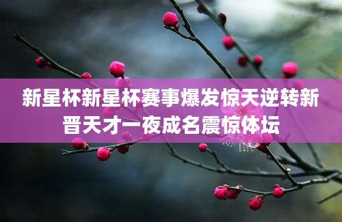 新星杯新星杯赛事爆发惊天逆转新晋天才一夜成名震惊体坛
