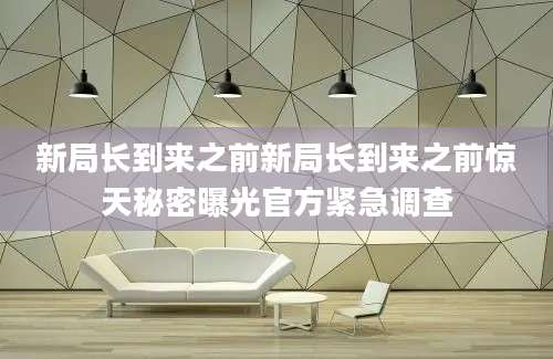 新局长到来之前新局长到来之前惊天秘密曝光官方紧急调查