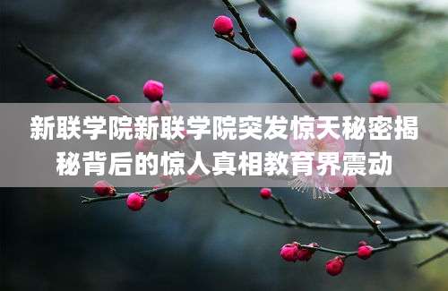 新联学院新联学院突发惊天秘密揭秘背后的惊人真相教育界震动