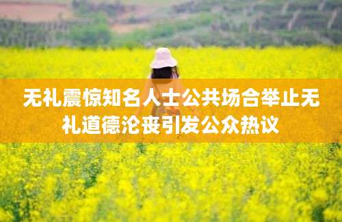 无礼震惊知名人士公共场合举止无礼道德沦丧引发公众热议