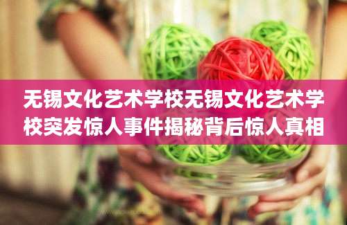 无锡文化艺术学校无锡文化艺术学校突发惊人事件揭秘背后惊人真相