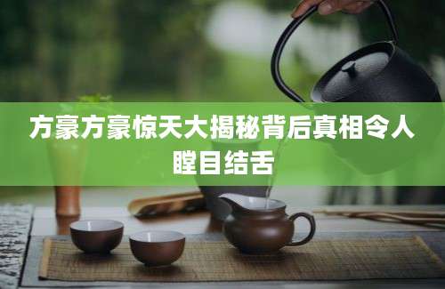 方豪方豪惊天大揭秘背后真相令人瞠目结舌