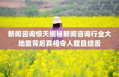 新闻咨询惊天揭秘新闻咨询行业大地震背后真相令人瞠目结舌