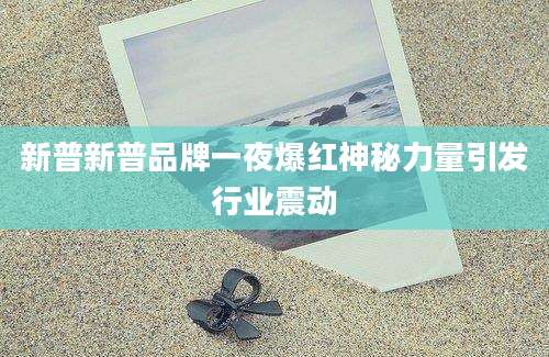 新普新普品牌一夜爆红神秘力量引发行业震动