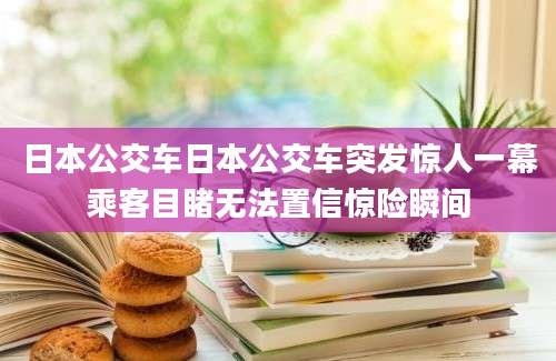 日本公交车日本公交车突发惊人一幕乘客目睹无法置信惊险瞬间
