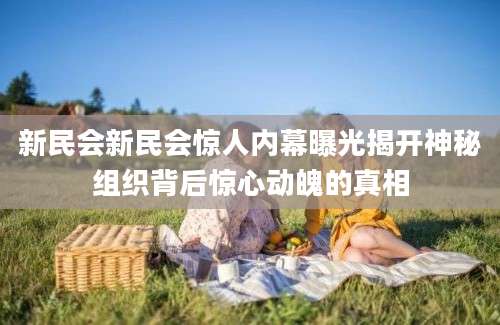 新民会新民会惊人内幕曝光揭开神秘组织背后惊心动魄的真相