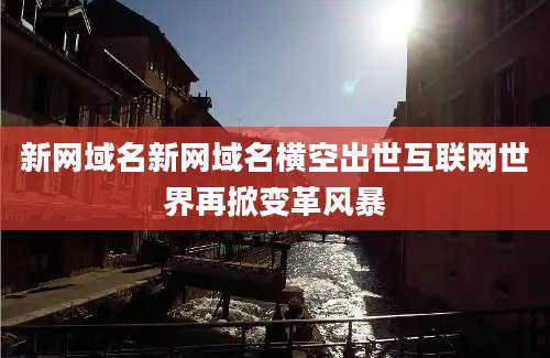 新网域名新网域名横空出世互联网世界再掀变革风暴