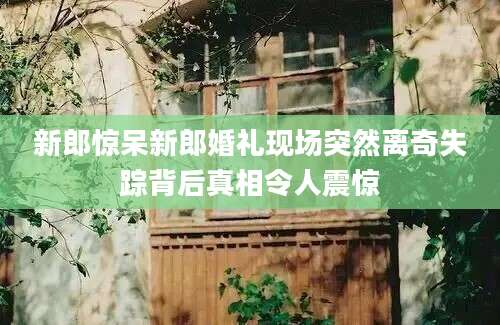 新郎惊呆新郎婚礼现场突然离奇失踪背后真相令人震惊
