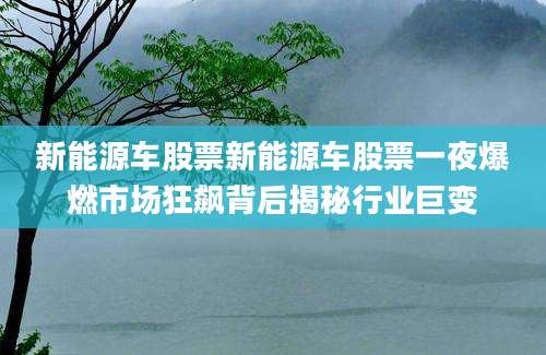 新能源车股票新能源车股票一夜爆燃市场狂飙背后揭秘行业巨变