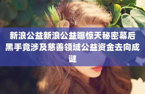 新浪公益新浪公益曝惊天秘密幕后黑手竟涉及慈善领域公益资金去向成谜