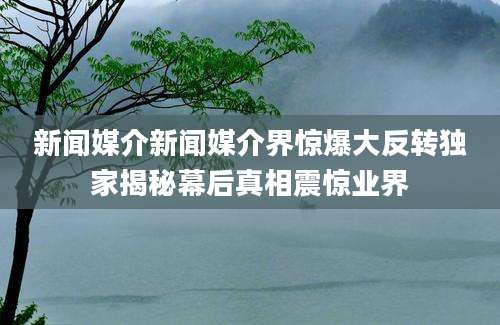 新闻媒介新闻媒介界惊爆大反转独家揭秘幕后真相震惊业界