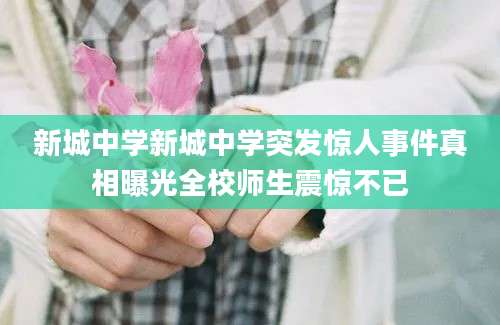 新城中学新城中学突发惊人事件真相曝光全校师生震惊不已