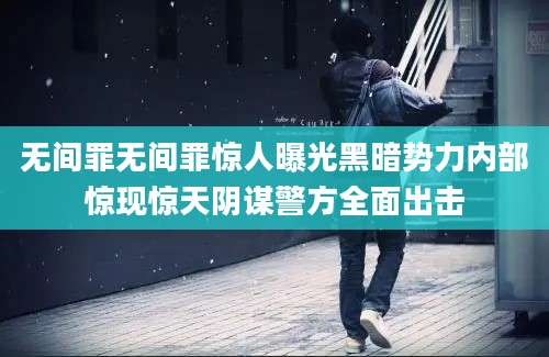 无间罪无间罪惊人曝光黑暗势力内部惊现惊天阴谋警方全面出击