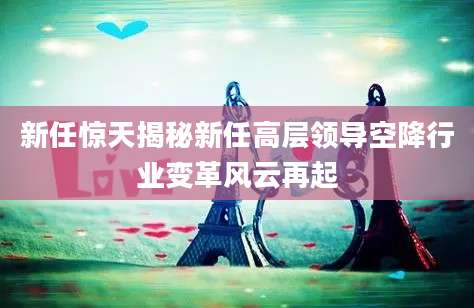 新任惊天揭秘新任高层领导空降行业变革风云再起