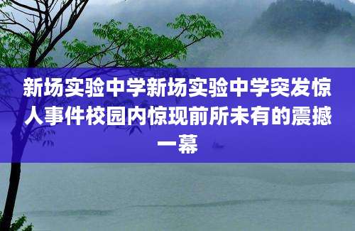 新场实验中学新场实验中学突发惊人事件校园内惊现前所未有的震撼一幕