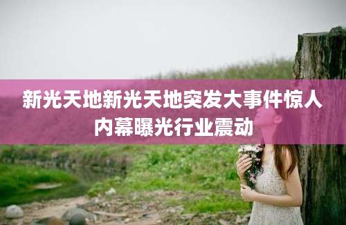 新光天地新光天地突发大事件惊人内幕曝光行业震动