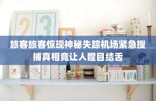旅客旅客惊现神秘失踪机场紧急搜捕真相竟让人瞠目结舌