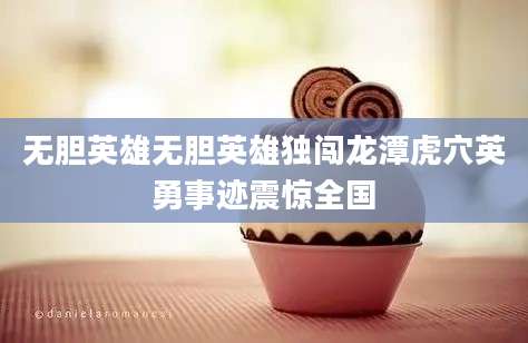 无胆英雄无胆英雄独闯龙潭虎穴英勇事迹震惊全国