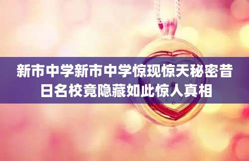 新市中学新市中学惊现惊天秘密昔日名校竟隐藏如此惊人真相