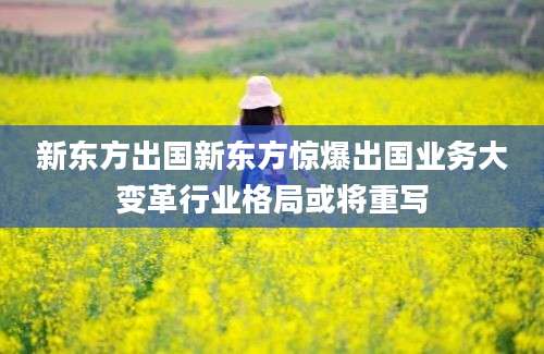 新东方出国新东方惊爆出国业务大变革行业格局或将重写