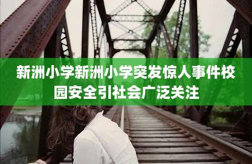 新洲小学新洲小学突发惊人事件校园安全引社会广泛关注