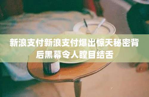 新浪支付新浪支付爆出惊天秘密背后黑幕令人瞠目结舌