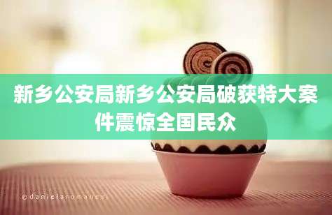 新乡公安局新乡公安局破获特大案件震惊全国民众