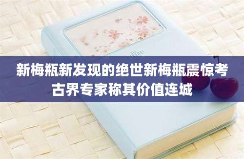 新梅瓶新发现的绝世新梅瓶震惊考古界专家称其价值连城