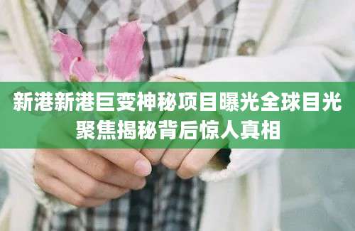 新港新港巨变神秘项目曝光全球目光聚焦揭秘背后惊人真相