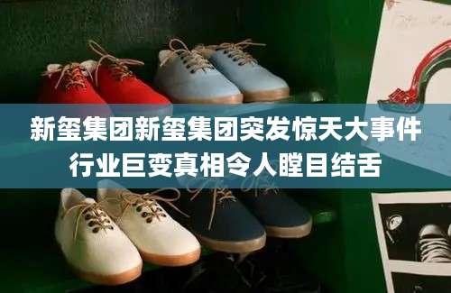 新玺集团新玺集团突发惊天大事件行业巨变真相令人瞠目结舌