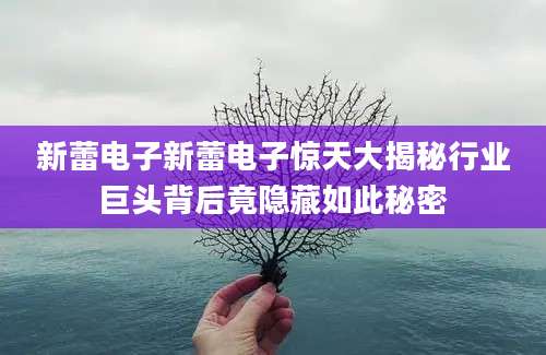 新蕾电子新蕾电子惊天大揭秘行业巨头背后竟隐藏如此秘密