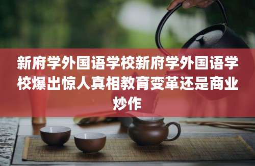 新府学外国语学校新府学外国语学校爆出惊人真相教育变革还是商业炒作