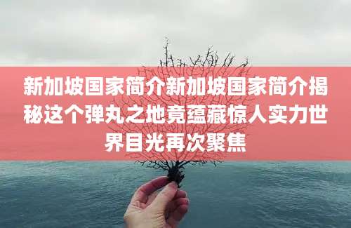新加坡国家简介新加坡国家简介揭秘这个弹丸之地竟蕴藏惊人实力世界目光再次聚焦