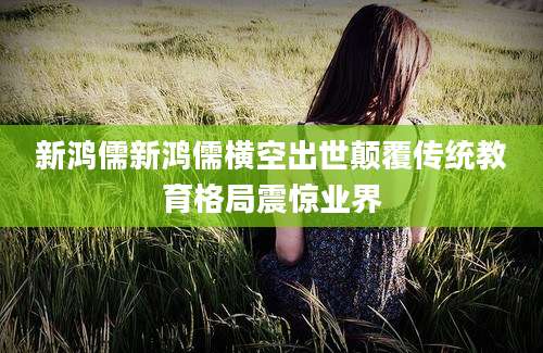 新鸿儒新鸿儒横空出世颠覆传统教育格局震惊业界