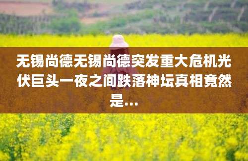 无锡尚德无锡尚德突发重大危机光伏巨头一夜之间跌落神坛真相竟然是...
