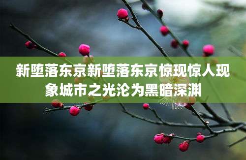 新堕落东京新堕落东京惊现惊人现象城市之光沦为黑暗深渊
