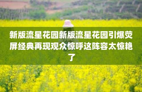新版流星花园新版流星花园引爆荧屏经典再现观众惊呼这阵容太惊艳了