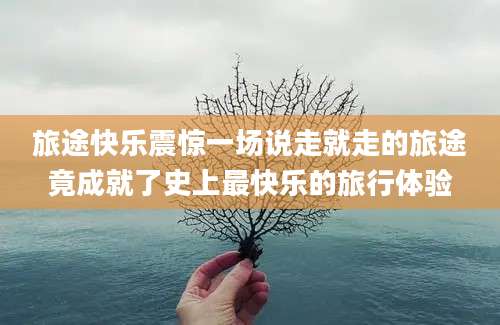旅途快乐震惊一场说走就走的旅途竟成就了史上最快乐的旅行体验