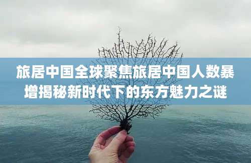 旅居中国全球聚焦旅居中国人数暴增揭秘新时代下的东方魅力之谜