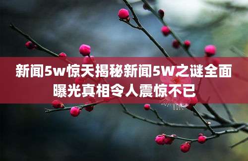 新闻5w惊天揭秘新闻5W之谜全面曝光真相令人震惊不已